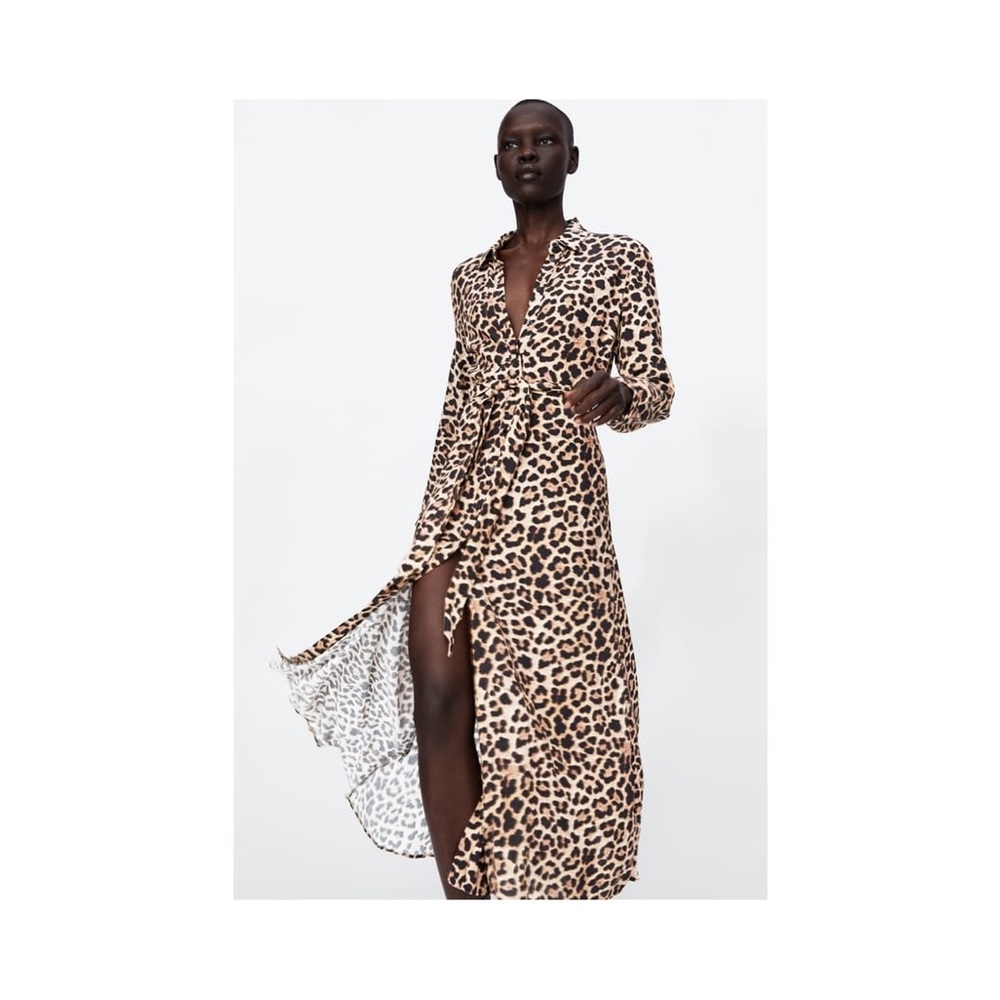 Zara Leopard Print dress